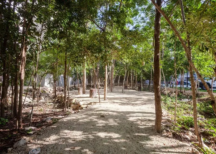 Cobalto Coto810min Beach,wifi200mb,gym,pools,king * Playa del Carmen